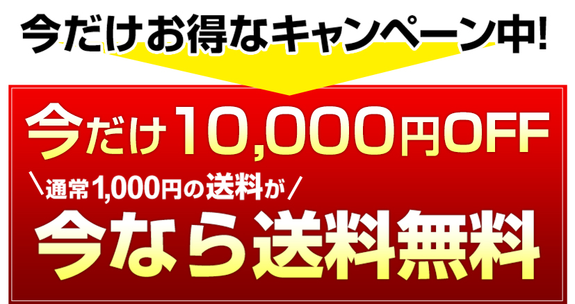 今だけお得なキャンペーン中！10月15日まで 5,000円OFF通常1000円の送料が 今なら送料無料